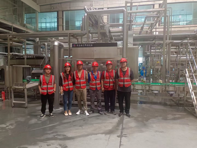 Bengbu Snowflake Production Line Project