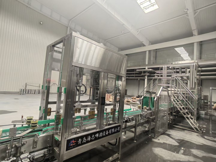 Bengbu Snowflake Production Line Project